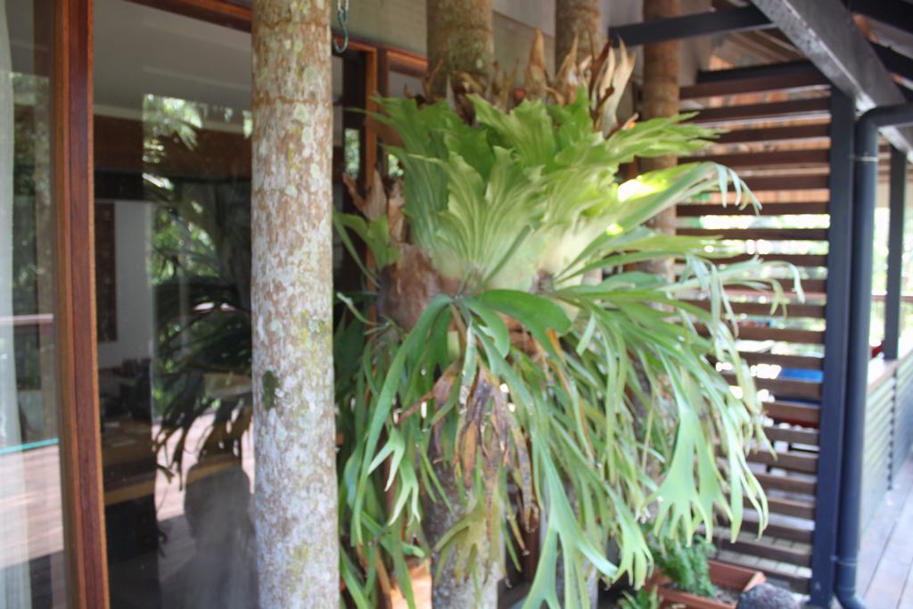 Apartamento Pk Illusions Maleny Exterior foto