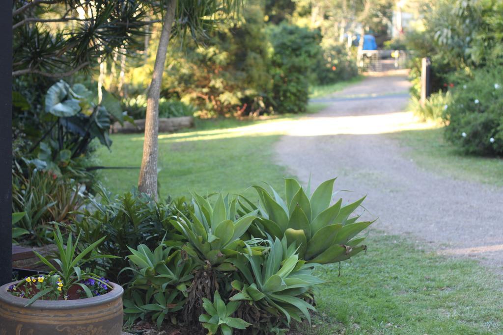 Apartamento Pk Illusions Maleny Exterior foto